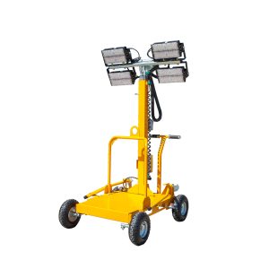 LT800_04